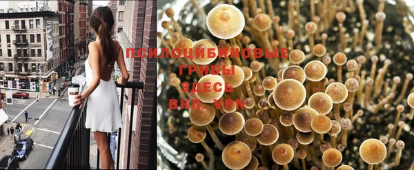 винт Осташков