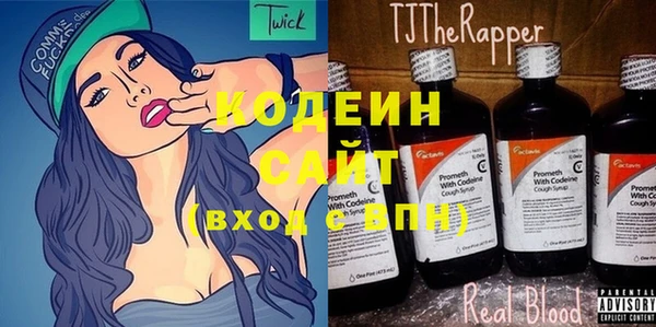 индика Осинники