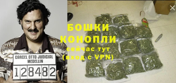 индика Осинники