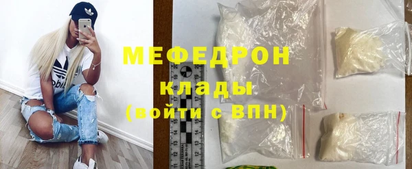 индика Осинники