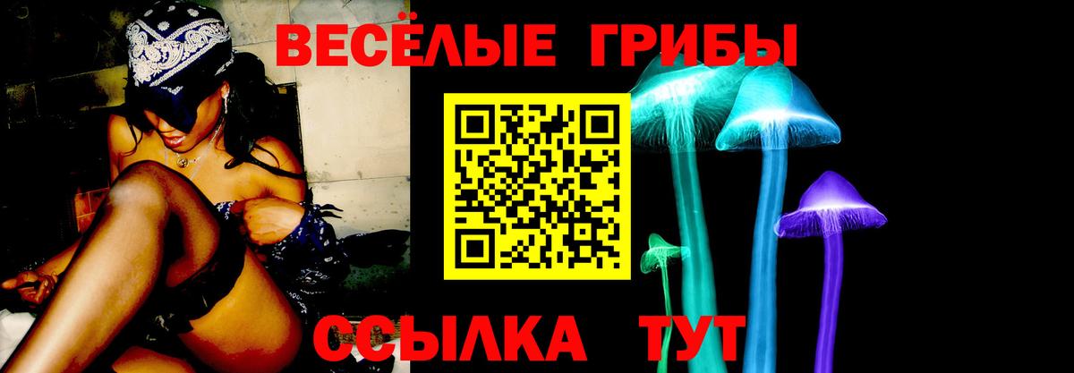 Североморск  Галлюциногенные грибы Psilocybine cubensis  даркнет сайт  Вход с VPN 